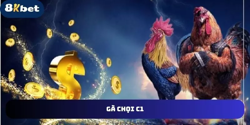 Gà Chọi C1