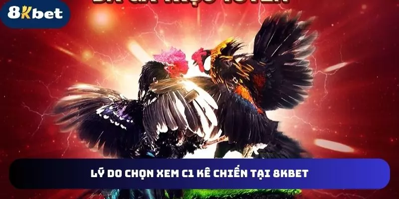 Tổng hợp lý do chọn xem C1 kê chiến tại 8KBET